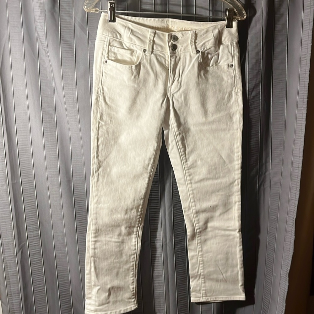 American Eagle Outfitters Artist Crop Stretch, White, Size 2